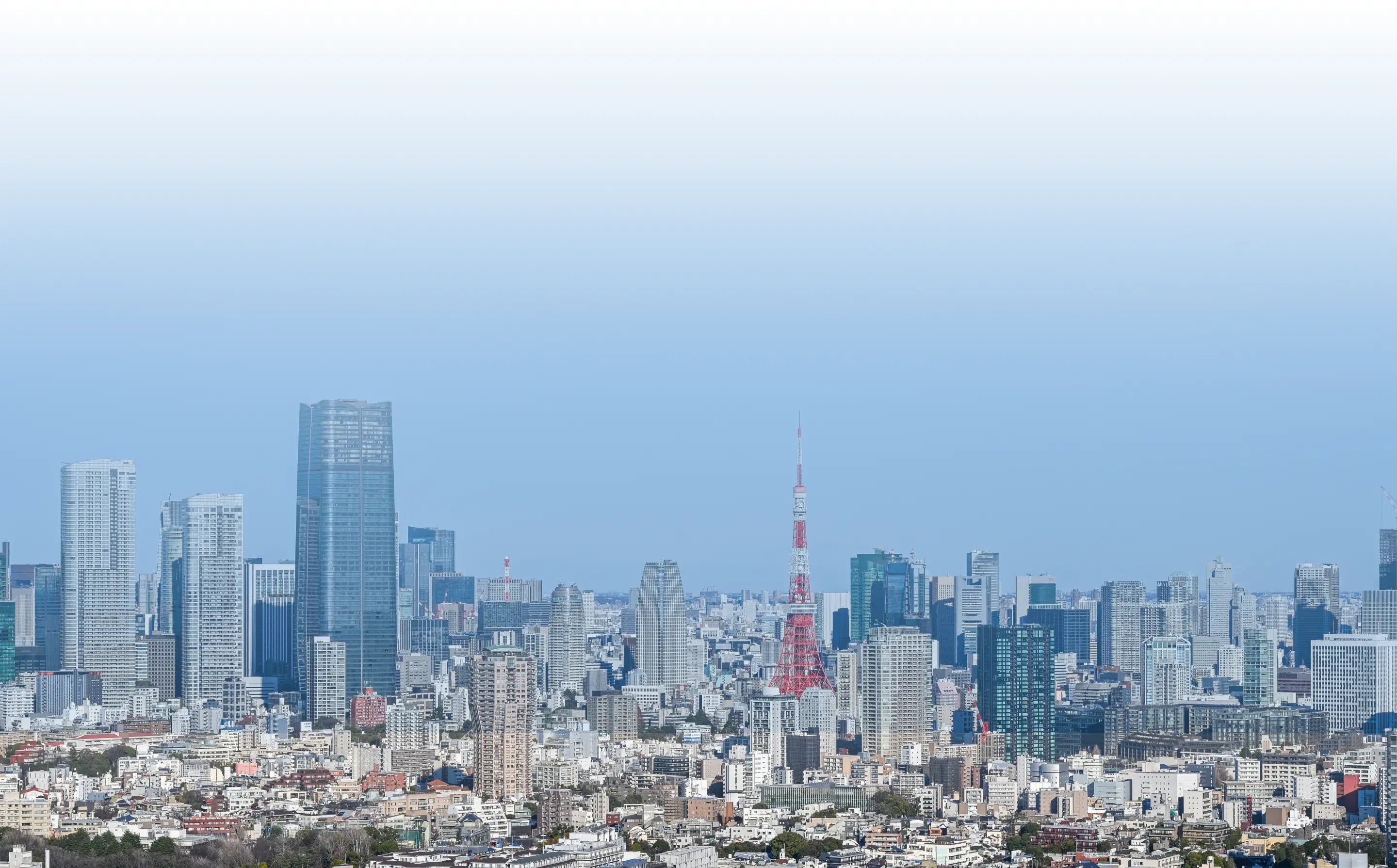 フッター背景